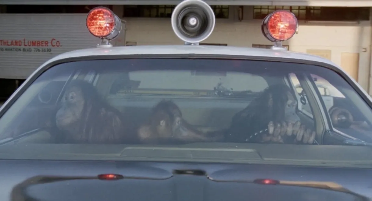 Going Ape!