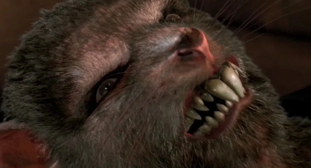 Ratpocalypse
