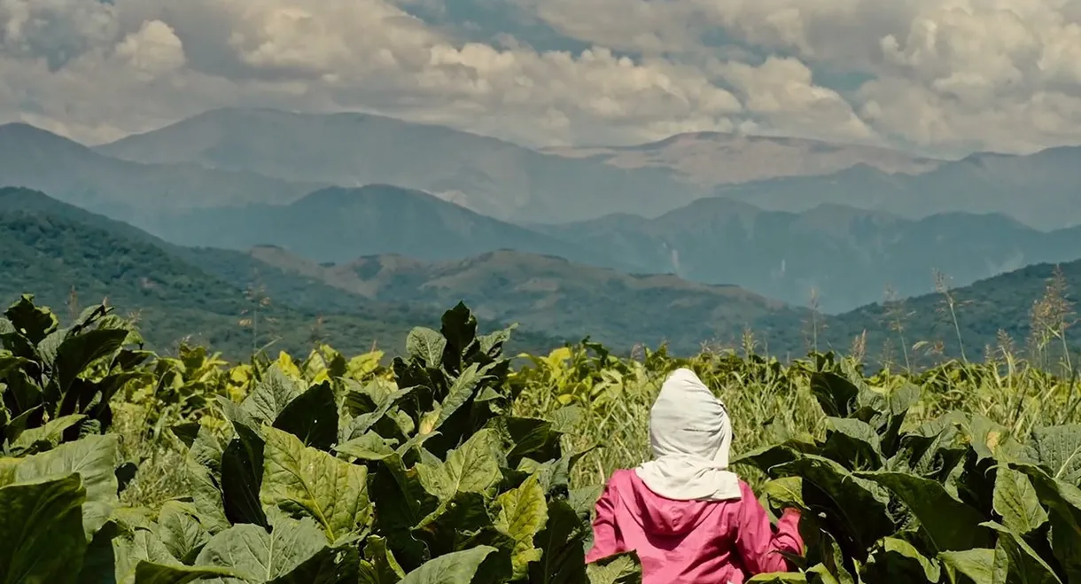 Wacay, mujeres del tabacal