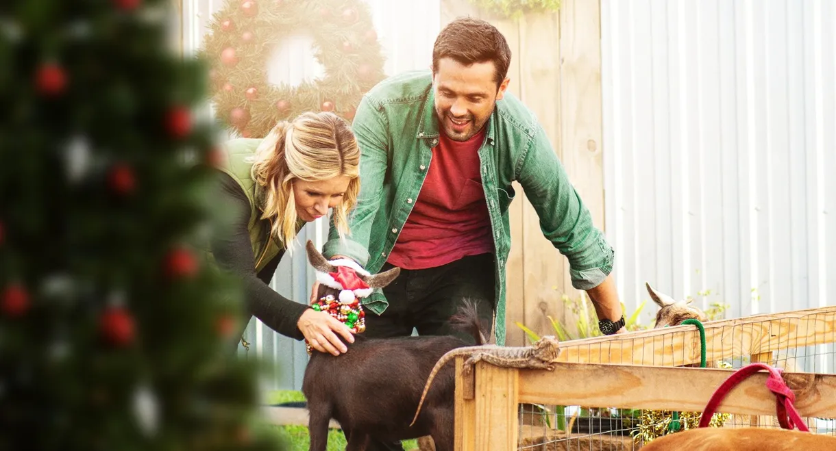 Hometown Christmas