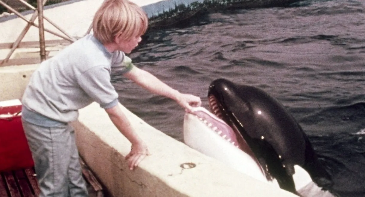A Whale of a Tale