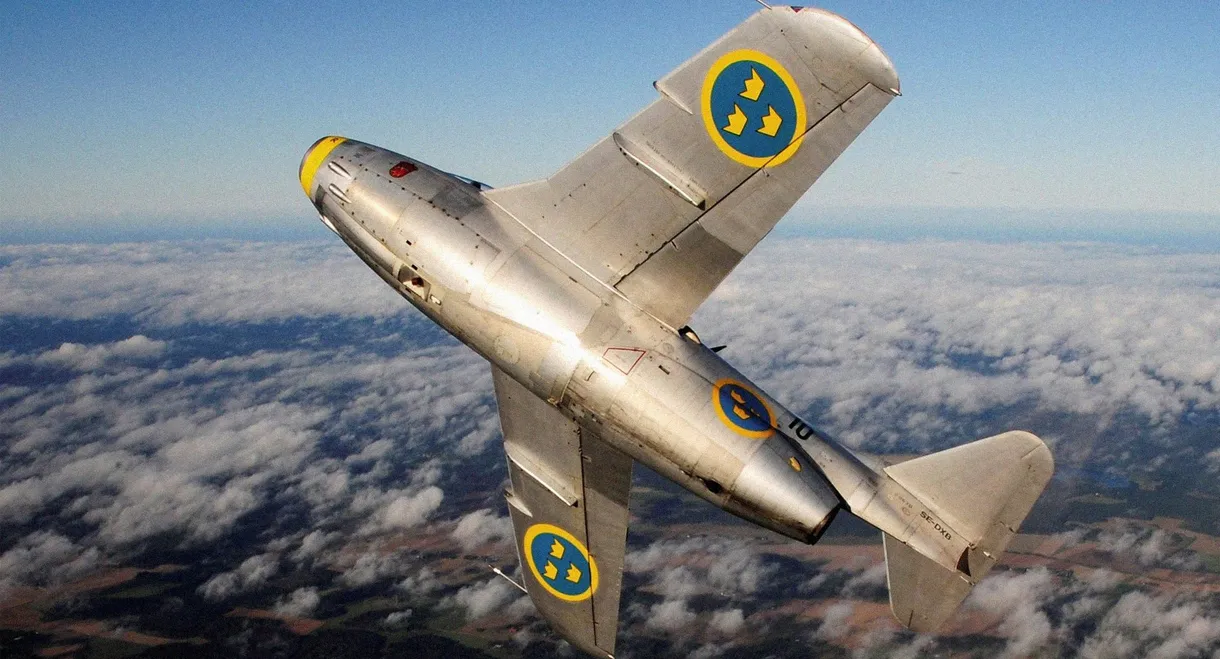 The Yellow Squadron