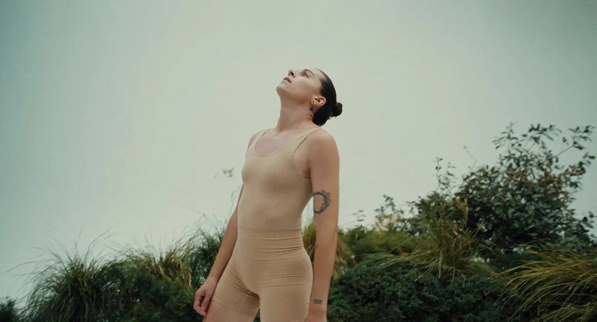 PVRIS - ANYWHERE BUT HERE / ANIMAL