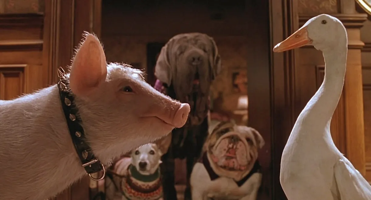 Babe: Pig in the City