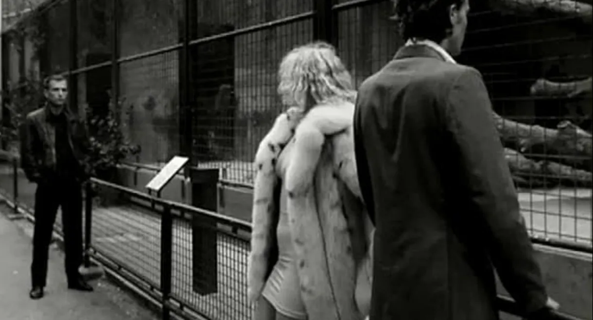 Venus in Furs