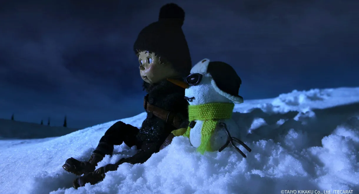 Norman the Snowman: On a Night of Shooting Stars