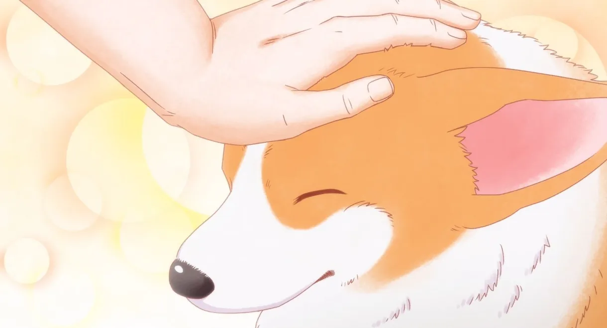 The Corgi and the Samurai