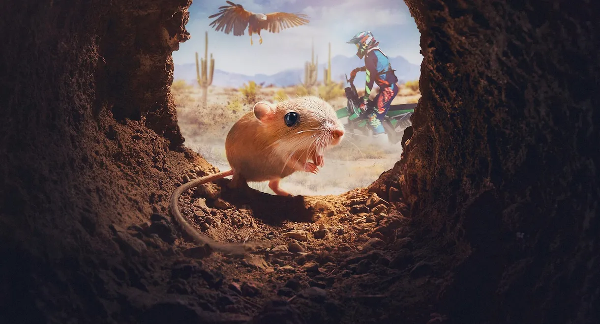 Tiny Creatures