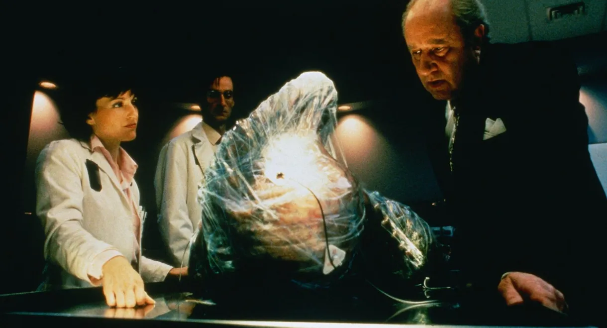 The Fly II