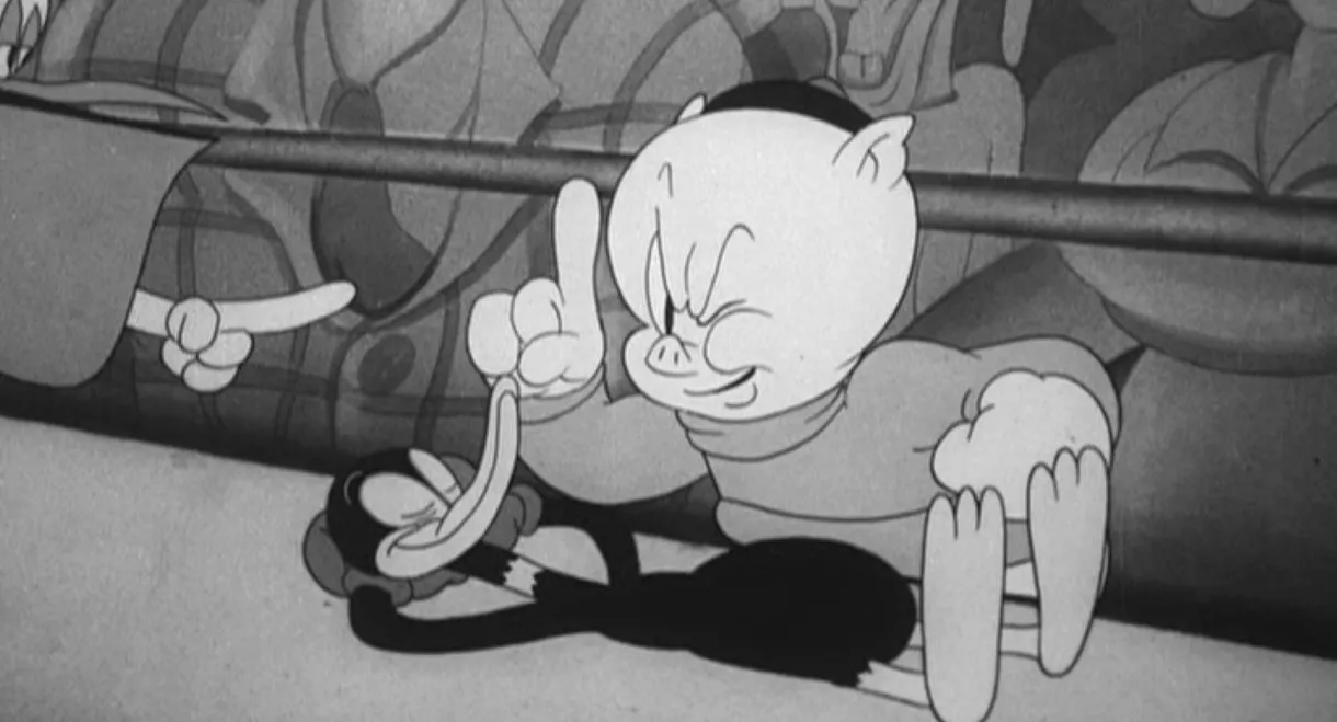 Porky & Daffy