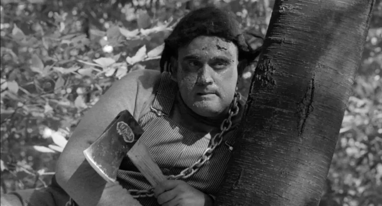 The Monster of Camp Sunshine or How I Learned to Stop Worrying and Love Nature