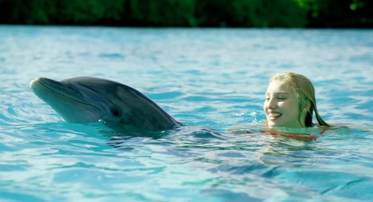 Dolphin Island