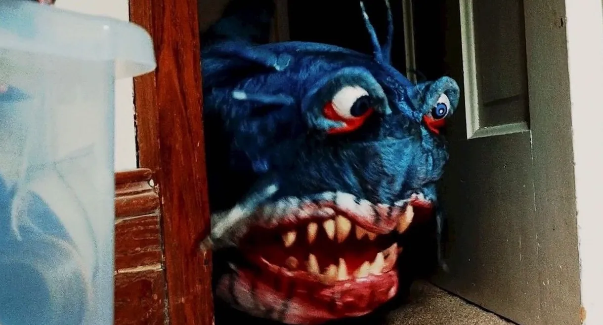 Doll Shark