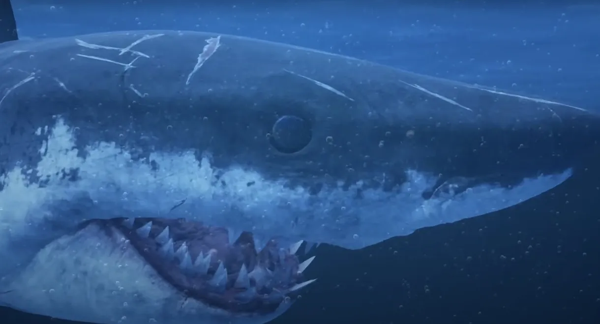 Mummy Shark