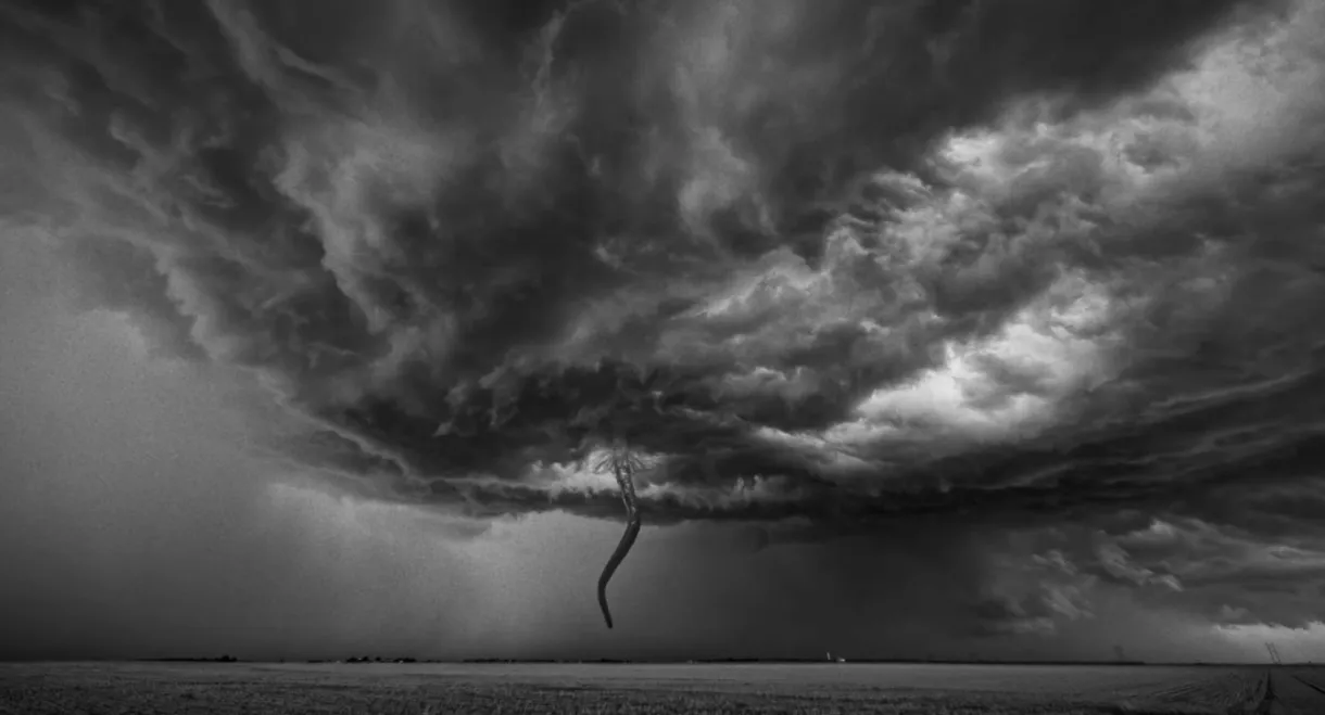 Quiet Apocalypse