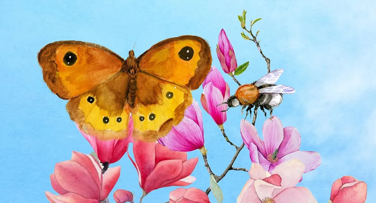 Children of the Sun - Wild Bees & Butterflies