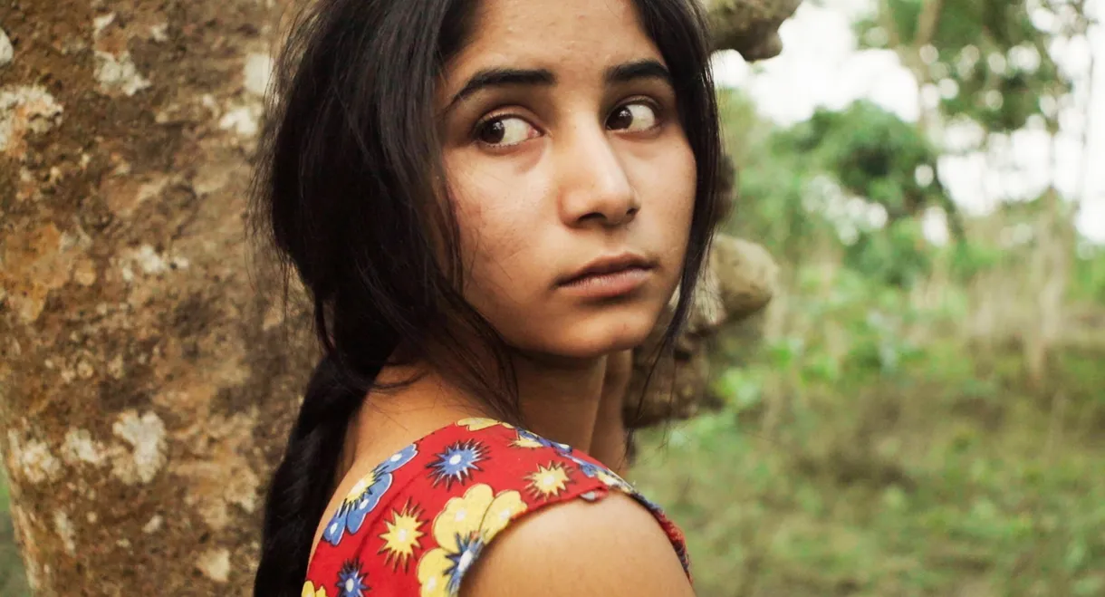Bulbul Can Sing