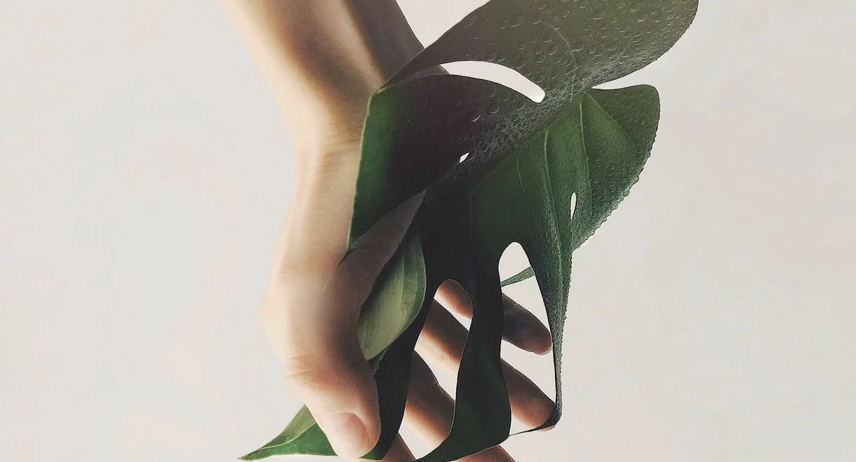 Regeneration