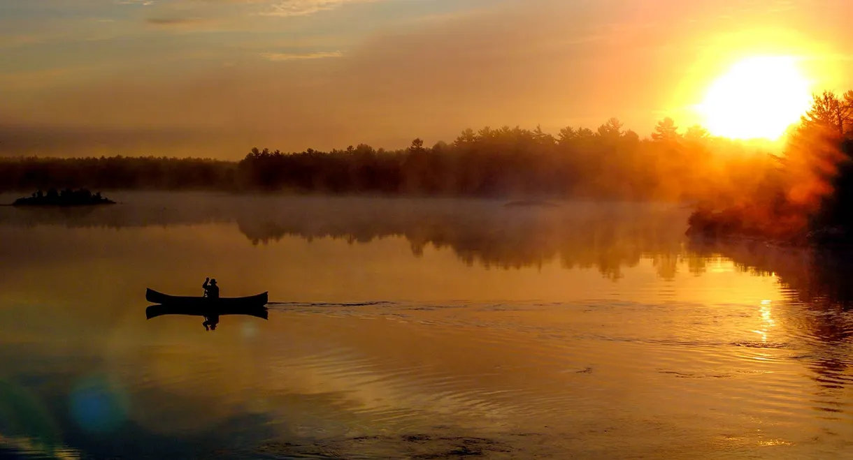 Ray Mears' Northern Wilderness
