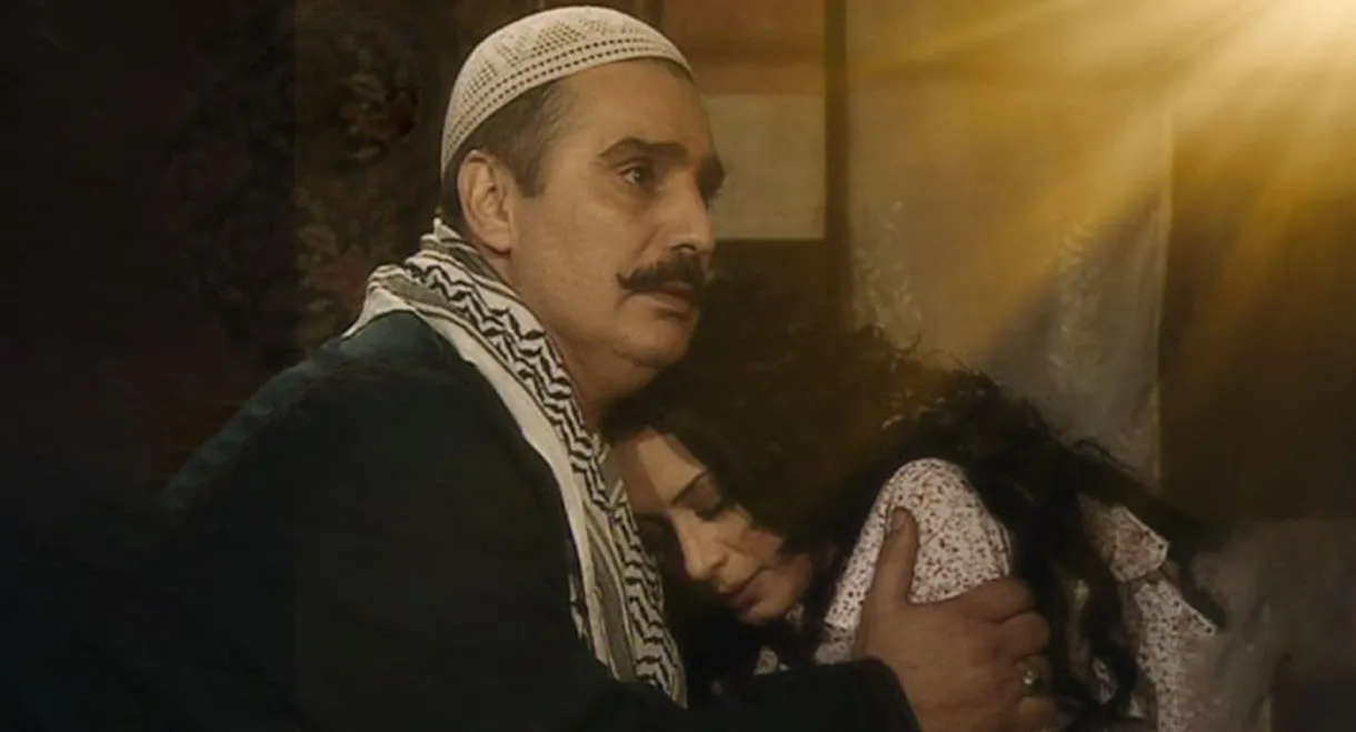 Nights of Al Saliheya