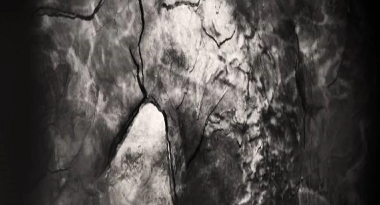 An Excavation of Us