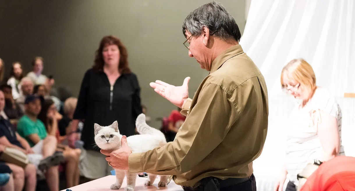 Catwalk: Tales from the Catshow Circuit