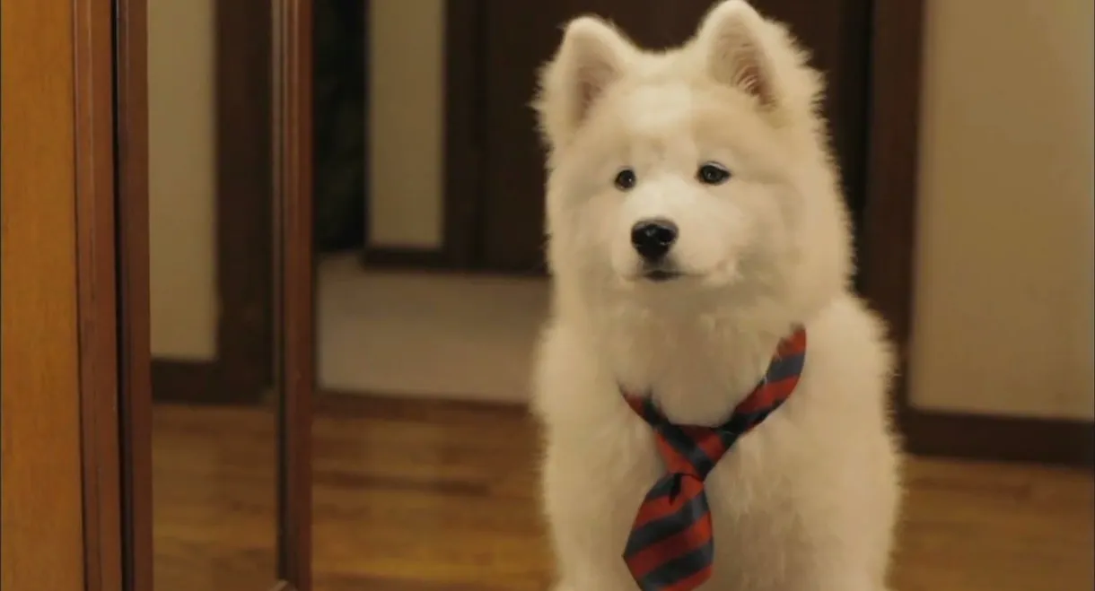 Mr. Inukai Keeps a Dog