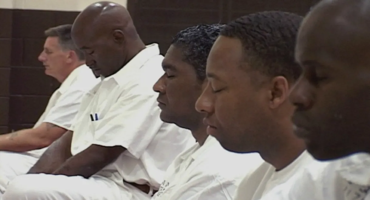 The Dhamma Brothers