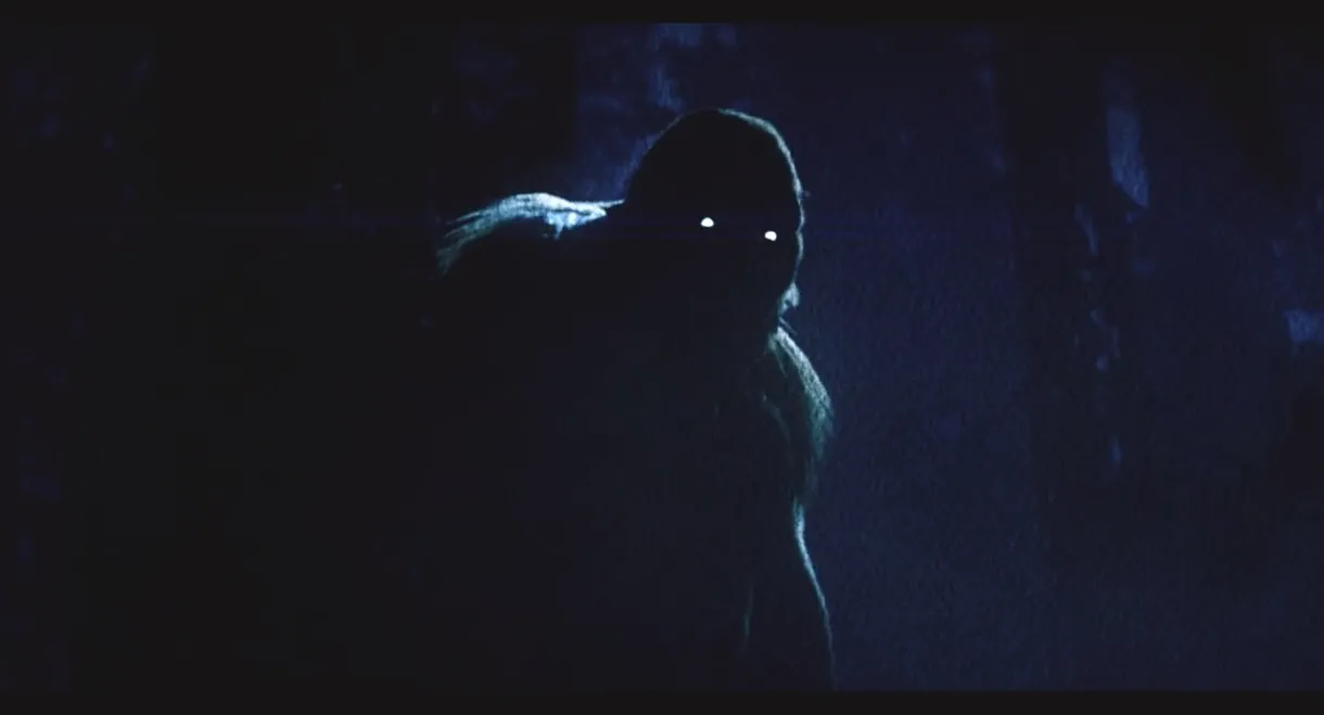 On the Trail of Bigfoot:  Land of the Missing