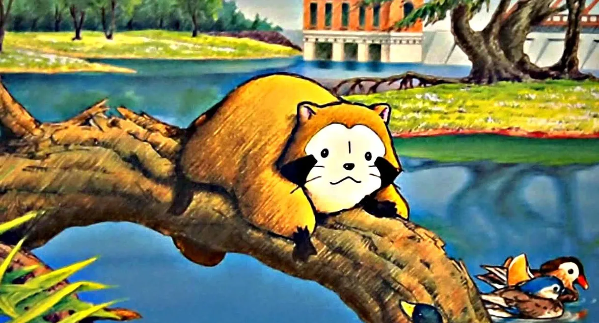 Rascal the Raccoon