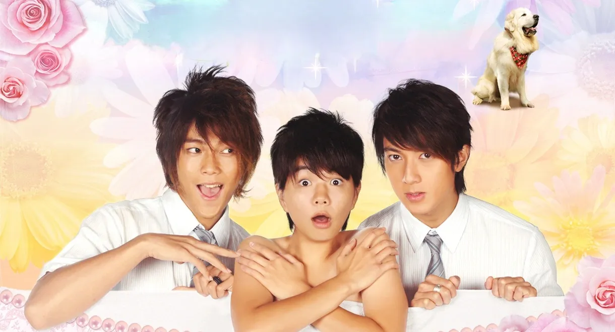 Hana Kimi