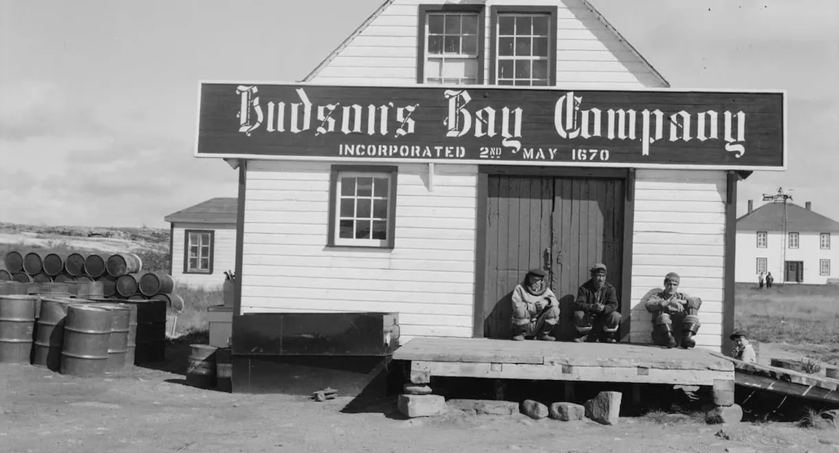 Hudson’s Bay(bies)