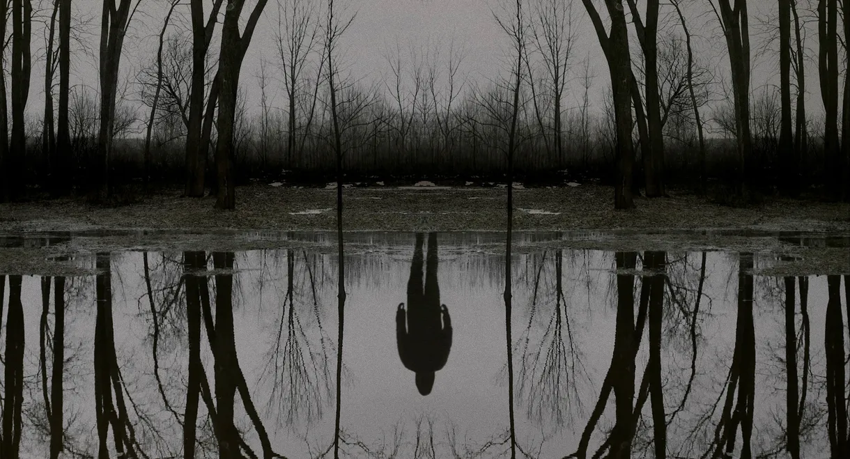 The Outsider