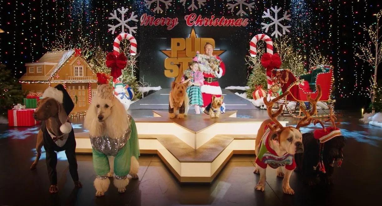 Puppy Star Christmas