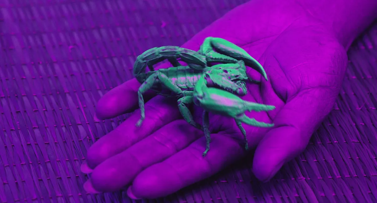 Ultraviolet