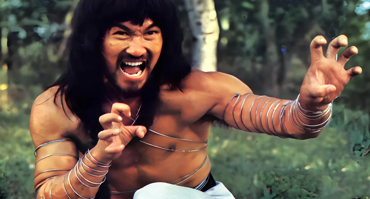 Cantonen Iron Kung Fu