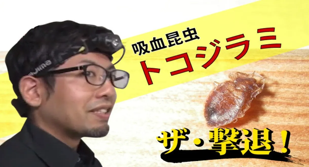 ザ・撃退!