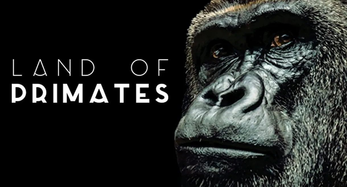 Land of Primates