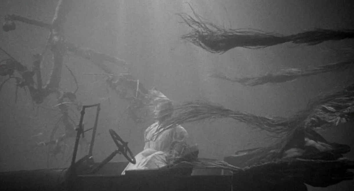 The Night of the Hunter