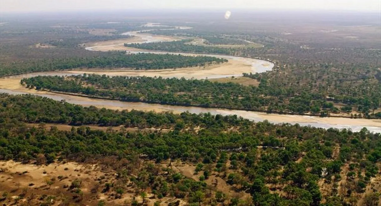 Massive Africa