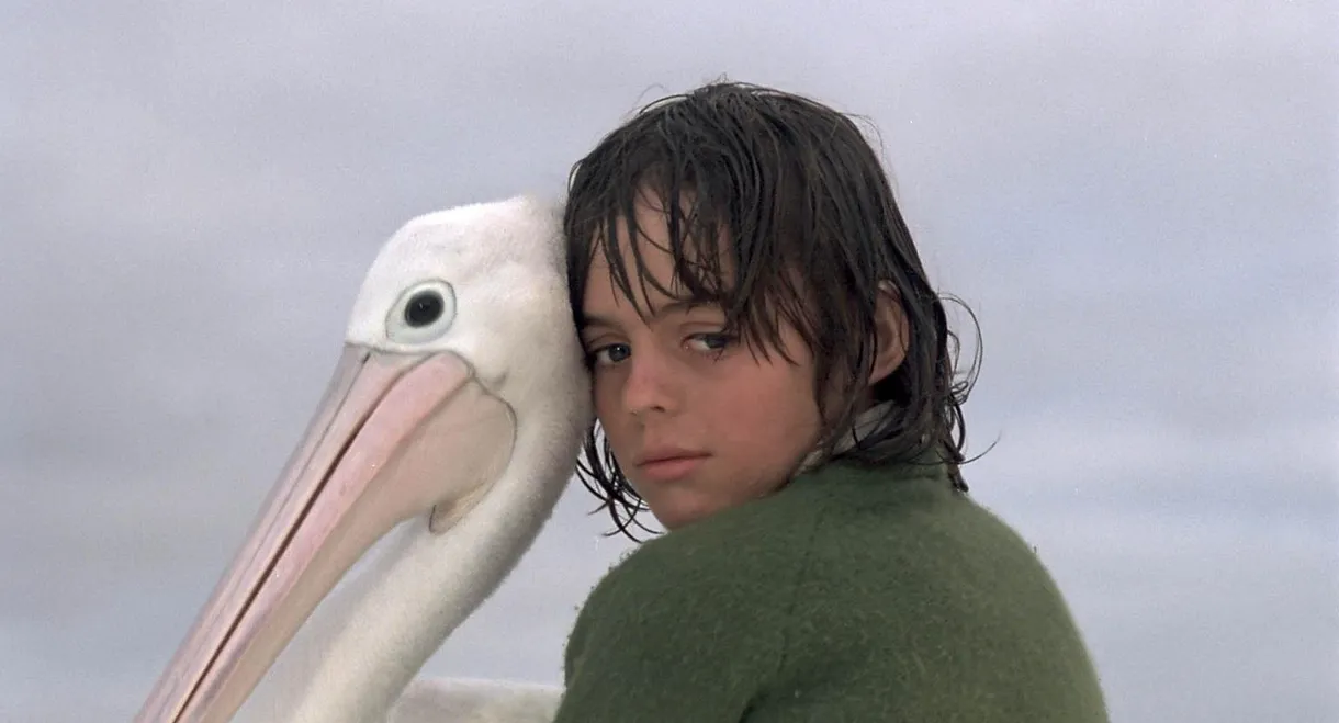 Storm Boy