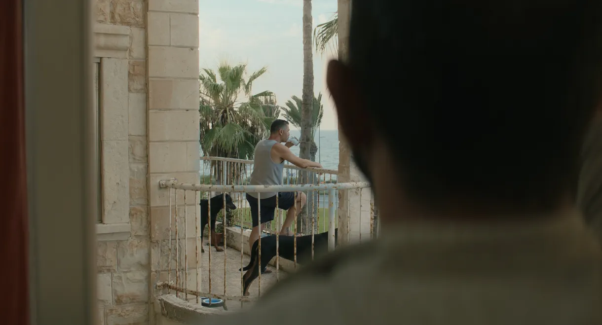 Mediterranean Fever
