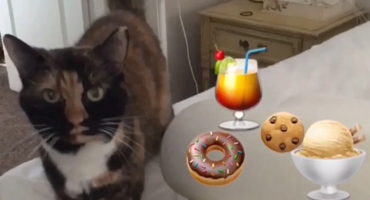 The Adventures of Murphy the Cat #7