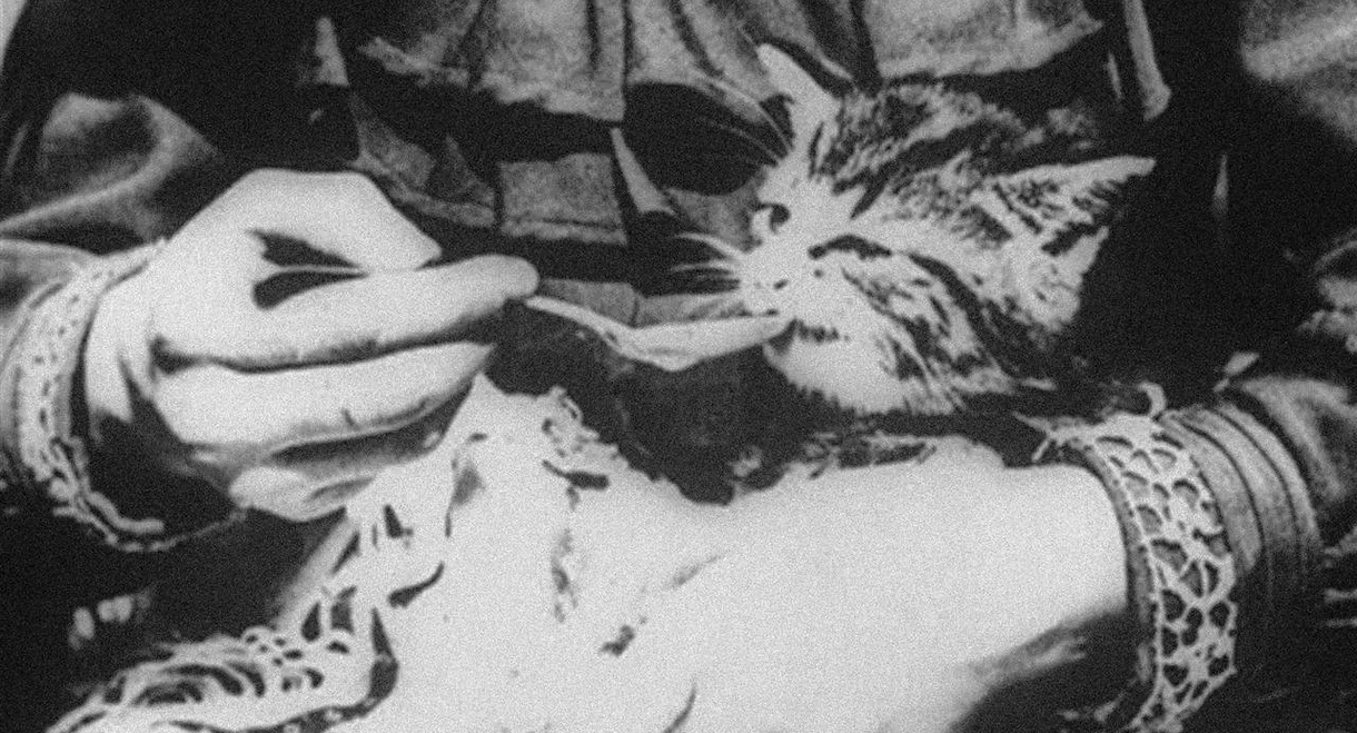 The Sick Kitten