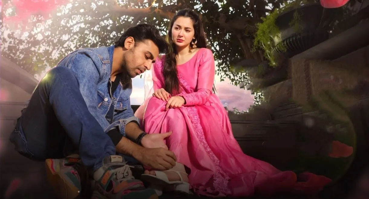 Meray Humsafar