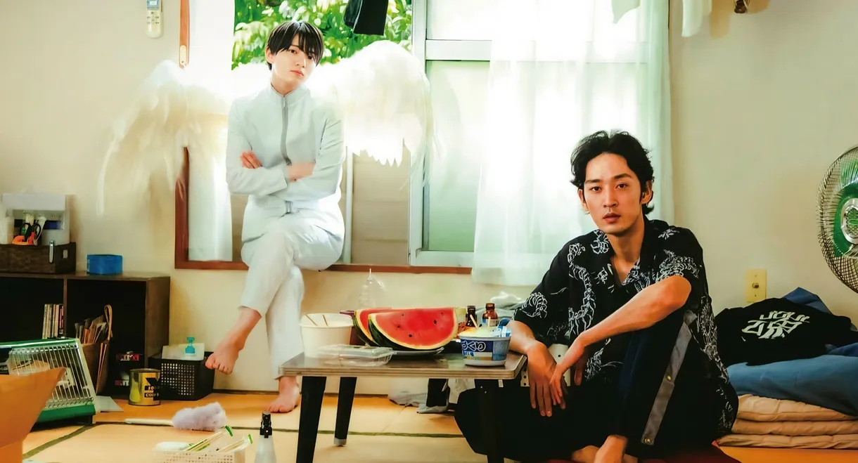 One Room Angel