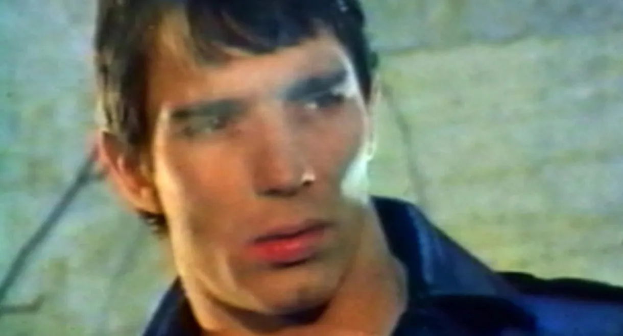 Mondo Homo: A Study of French Gay Porn in the '70s