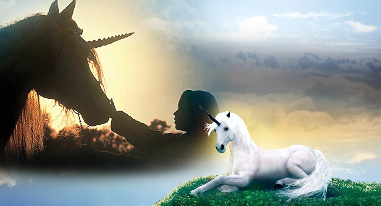 The Little Unicorn