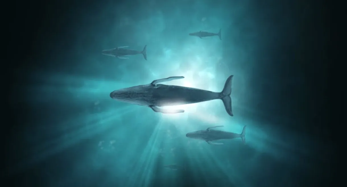 Sonic Sea