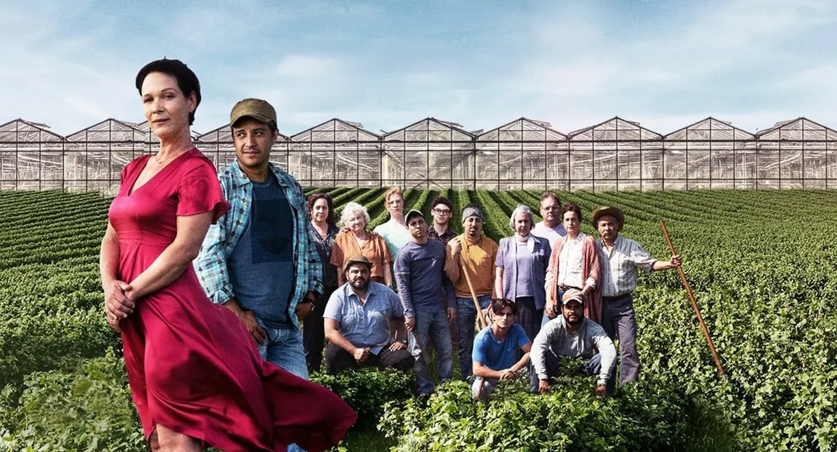 Le temps des framboises